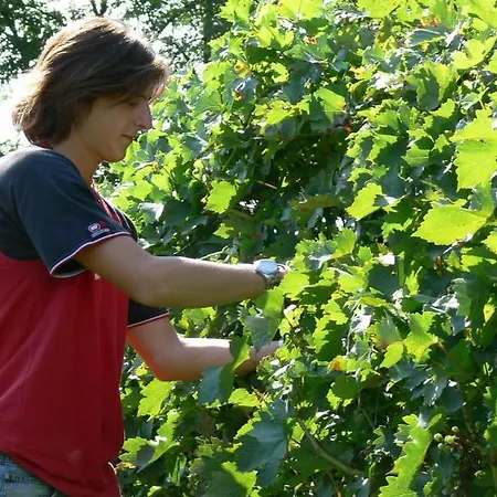 Alojamento de Turismo Rural Tenuta Le Sorgive